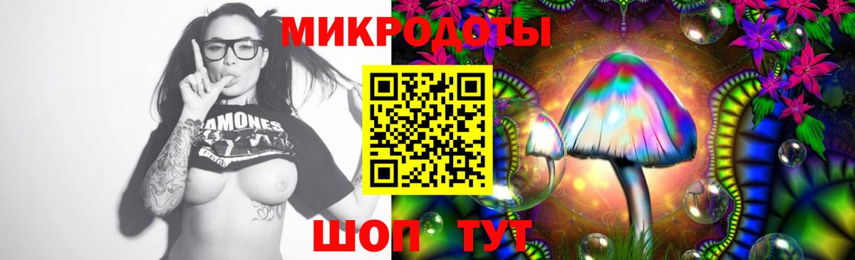 Балашиха  Псилоцибиновые грибы Cubensis  Вход с VPN 
